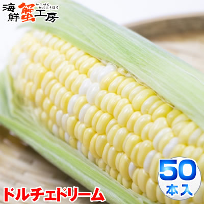 とうもろこし ドルチェドリーム 50本 約20kg 北海道 十勝 <br>産地直送 トウモロコシ コーン とうきび 獲れたて 新鮮 玉蜀黍 <br>送料無料 プレゼント 贈り物 お取り寄せ グルメ <br>8月中旬以降順次発送 配送日指定不可 同梱不可 代引不可