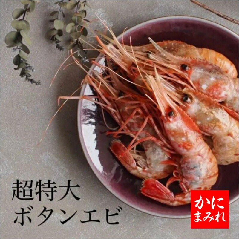 抜群の鮮度！デカすぎる最高級無添加ボタンエビ（刺身用超特大）【高級寿司店使用】