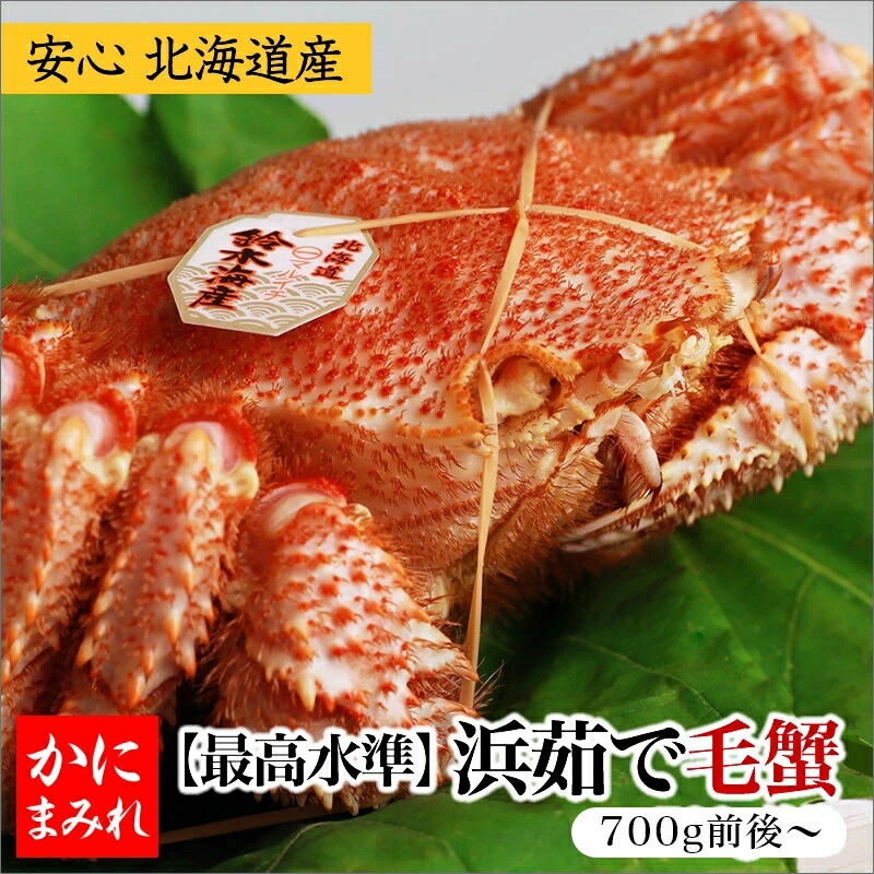 浜茹で毛ガニ・特大 無添加【身入りランク業界最高水準：3特～4特】