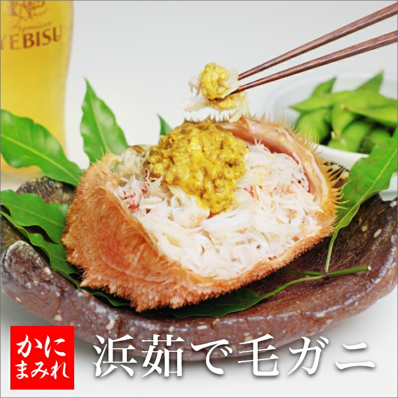 【当店人気NO1】無添加 浜茹で毛ガニ【業界最高3～4特ランク堅蟹】雄武・枝幸・頓別産