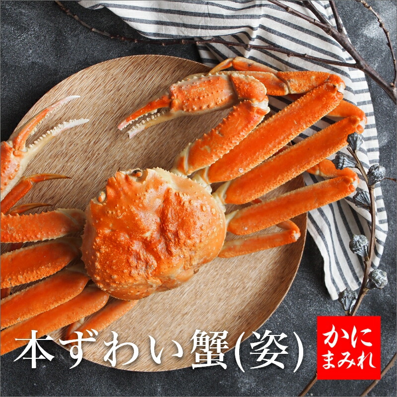 厳選本ずわい蟹姿【茹で上げ急速冷凍】無添加