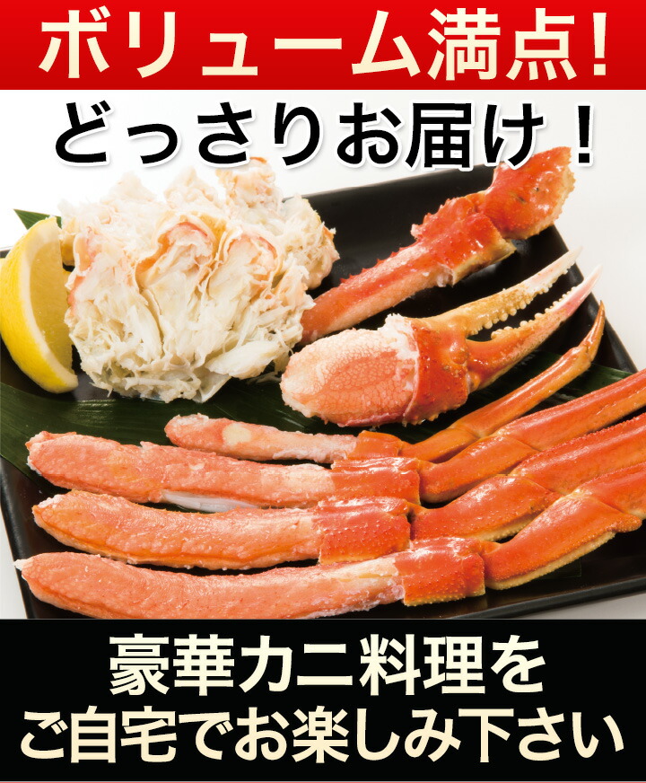 上品 3.6kg 12-19肩 ボイルズワイガニ肩付脚 ずわい蟹 ズワイガニ ズワイ肩付き脚 カニバター 天麩羅 炊き込みご飯 快適生活 食べ物  グルメ fucoa.cl