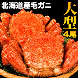 【特別価格】4尾 合計2.2kg 北海道産大型毛ガニ(ボイル済) けがに 毛ガニ 毛蟹 毛がに 毛ガニ姿 蟹姿 カニ姿 カニ味噌 かにみそ 毛ガニボイル ボイル毛蟹 毛ガニ茹で済 甲羅 甲羅酒 蟹飯 海鮮丼 満足良品館カニ 全国送料無料