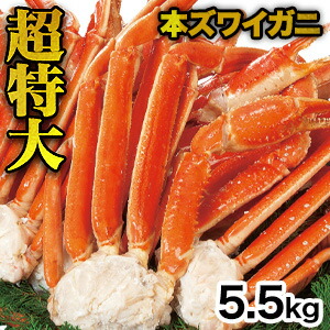 【お買い物マラソン応援SALE中】 5.5kg 超特大ズワイガニ肩付脚 (ボイル済) 特大ズワイ ずわいがに特大 ずわい ズワイ ズワイ蟹 ずわい蟹 ズワイガニ ずわいがに ズワイガニボイル ボイルずわい カニ肩付き脚 かに茹で済 全国送料無料