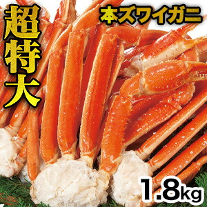 【お買い物マラソン応援SALE中】 1.8kg 超特大ズワイガニ肩付脚 (ボイル済) 特大ズワイ ずわいがに特大 ずわい ズワイ ズワイ蟹 ずわい蟹 ズワイガニ ずわいがに ズワイガニボイル ボイルずわい カニ肩付き脚 かに茹で済 全国送料無料