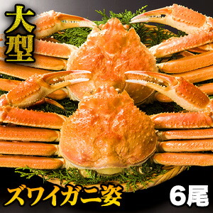 【お買い物マラソン応援SALE中】 3.6kg6尾 大型ボイルズワイガニ姿 ズワイガニ ずわいがに ずわい蟹 ズワイ蟹 蟹姿 カニ姿 ズワイガニ味噌 かにみそ 蟹みそ ボイルズワイ ボイルずわいがに 満足良品館カニ 全国送料無料