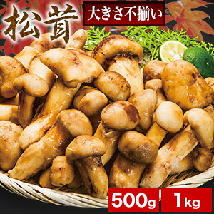 500g or 1kg 天然松茸(大きさ不揃い) まつたけ マツタケ 松茸ご飯 炊き込みご飯 きのこ お吸い物 冷凍 お土産 お祝い プレゼント ギフト おすすめ 満足良品館 送料無料|満足良品館