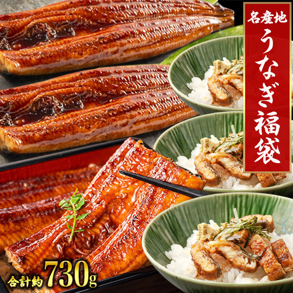 【ポイント10倍進呈中】絶品うなぎ福袋 九州産 3種セット 鰻の蒲焼 国産鰻 １本鰻 カットうなぎ 刻みうなぎ うなぎ蒲焼き 鹿児島県産鰻 宮崎県産うなぎ 土用の丑の日 土用 満足良品館 送料無料