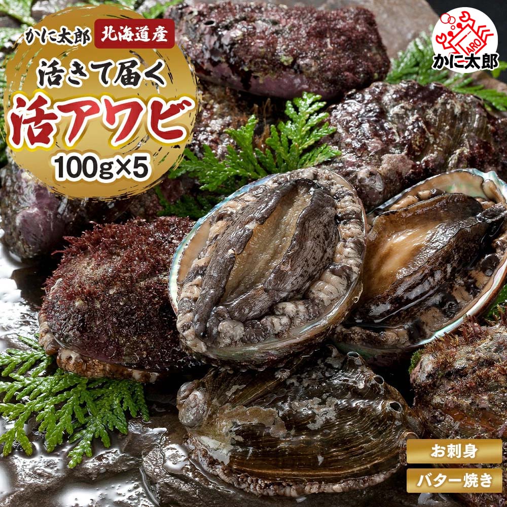 北海道産 活蝦夷鮑　5個入りで合計500ｇ前後　エゾアワビ 活きたままで届きます 活あわび だからこそお刺身 肝醤油 肝刺し 水貝 煮物 鉄板 あわびステーキで食べられます awabi 活アワビ