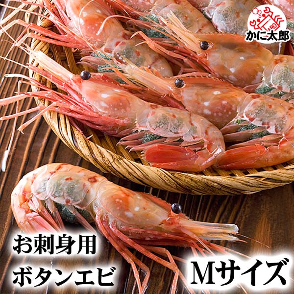 子持ち ぼたんえび　Mサイズ 500g(10～13尾入り)  卵入り、ボタンエビ ギュッと締まった身の甘みと、海老味噌も絶品 お刺身 お寿司用 ぼたん海老 蝦 通販 北海道 グルメ 食品 魚介類 父の日