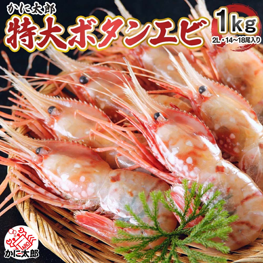 特大 子持ち ぼたんえび　2Lサイズ　1kg(14～18尾入)　ボタンエビ 特大サイズ 卵入り ギュッと締まった身の甘みと、海老味噌も絶品 お刺身用 お寿司用 ぼたん海老 えび (ギフト) 父の日