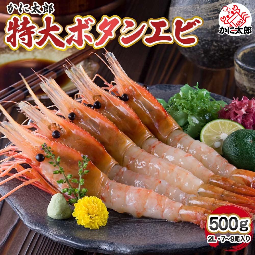 特大 子持ち ぼたんえび　2Lサイズ　500g(7～9尾入)　ボタンエビ 特大サイズ 卵入り ギュッと締まった身の甘みと、海老味噌も絶品 お刺身用 お寿司用 ぼたん海老 (ギフト) 父の日