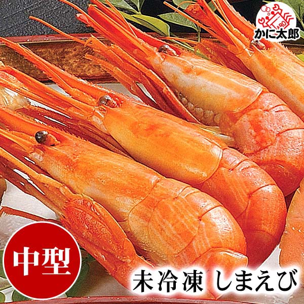 未冷凍 北海シマエビ Mサイズ 500ｇ前後(30～40尾入り 北海道産) しまえび 海老味噌も美味しく食べられます 北海道の貴重な縞海老 海老通販 グルメ食品 魚介類・シーフード エビ 北海しまえび