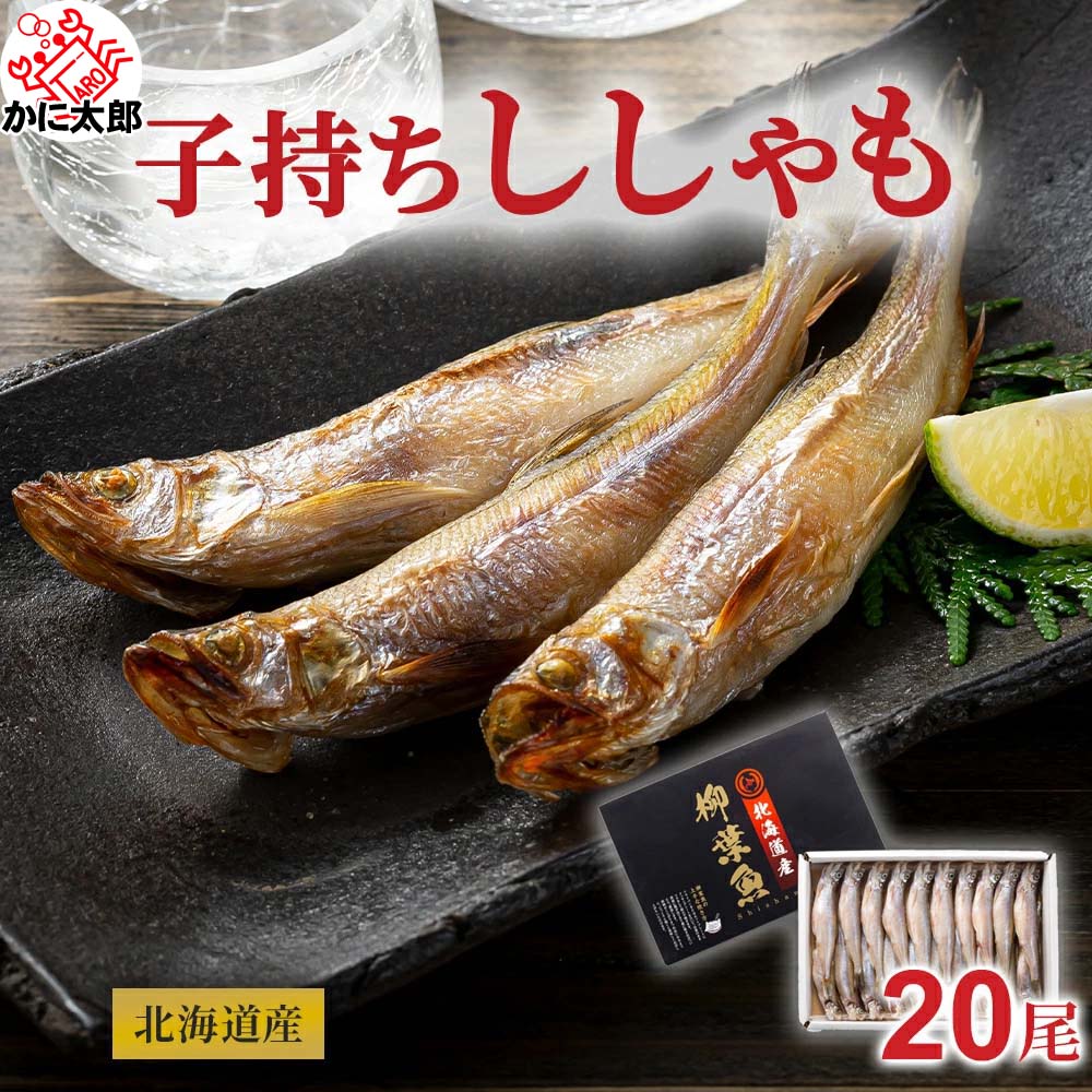 子持ち 本シシャモ　メス　20尾入り(大サイズ)　北海道鵡川・広尾・厚賀・釧路産 ししゃも 脂のりも良く、ご飯のおかずに最適 干物 柳葉魚 干し魚 ぷちぷち卵 北海道一夜干し 魚介類・シシャモ 子持ちししゃも 父の日