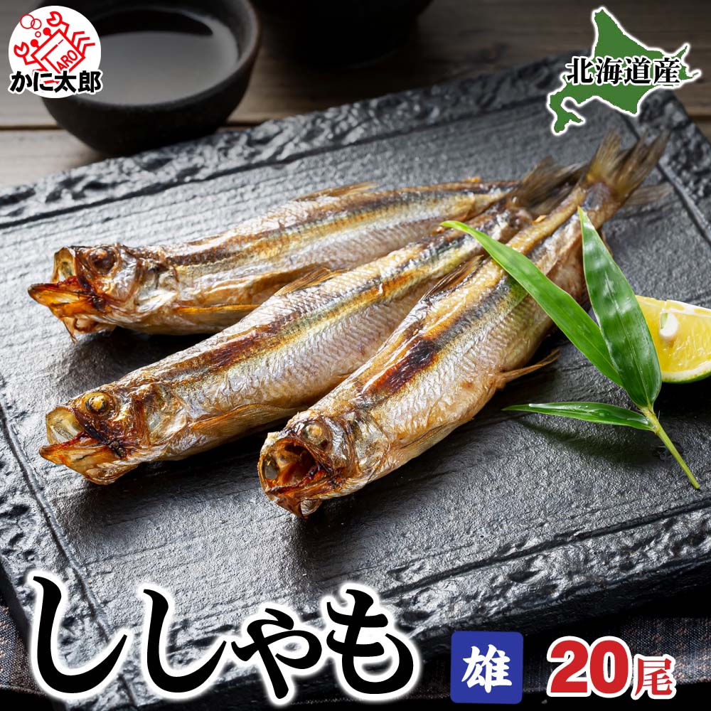 北海道産本シシャモ　オス　20尾入り(雄　特大サイズ)潮風と天日で干した北海道鵡川・厚賀・広尾・釧路産ししゃも。脂のりも良く、ご飯のおかず、お酒のおつまみに最適な干物柳葉魚、本物の北海道産ししゃもです。 父の日