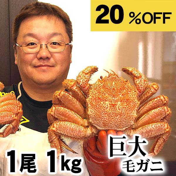 お買い物マラソン 超特大な毛蟹　1ｋｇ　1尾入り ボイル冷凍 北海道産の巨大毛ガニです。毛がにの醍醐味でもあるカニ味噌とかに身と絡めてお召し上がりください。蟹みそ かに通販 カニお取り寄せ ギフト