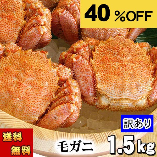 規格外品　数量限定品　条件付き訳あり毛蟹2kg 送料無料 毛ガニ 毛蟹 訳あり 4〜6匹 2.0kg セット 石川県産 活蟹 or 茹で