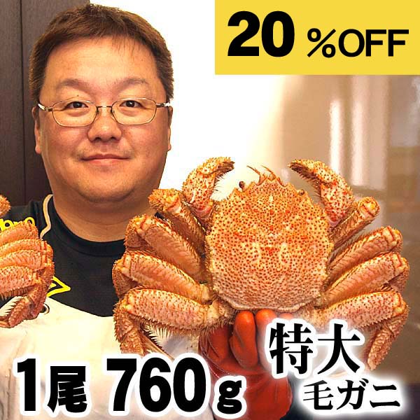 お買い物マラソン 特大の毛蟹　760～820ｇ 1尾入り　ボイル冷凍 北海道産の毛ガニです。毛がにの醍醐味でもあるカニ味噌とかに身と絡めてお召し上がりください。蟹みそ かに通販 カニお取り寄せ ギフト