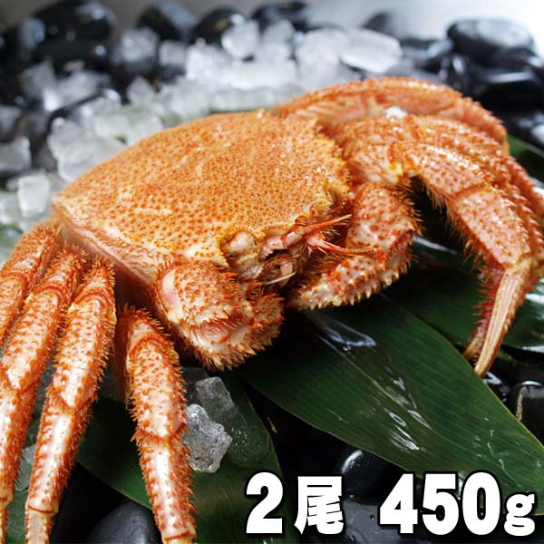 驚きの値段】 ボイル かに通販 魚介類 毛がにの醍醐味でもあるカニ味噌とかに身と絡めてお召し上がりください 蟹みそ ギフト 毛蟹 ボイル冷凍 北海道グルメ食品  450ｇ前後×2尾入り 北海道産の毛ガニです 中型 毛ガニ 魚介類・水産加工品