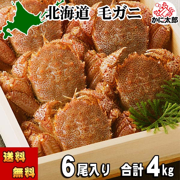 (送料無料) 毛蟹 6尾入りで、合計4ｋｇ前後　ボイル冷凍　1尾の平均660ｇの大型サイズ　北海道産 毛がにの醍醐味でもあるカニ味噌 かに身 絡めてお召し上がりください かに通販 蟹みそ 北海道 グルメ 食品 魚介類・シーフード カニ 毛ガニ ボイル 35,750円