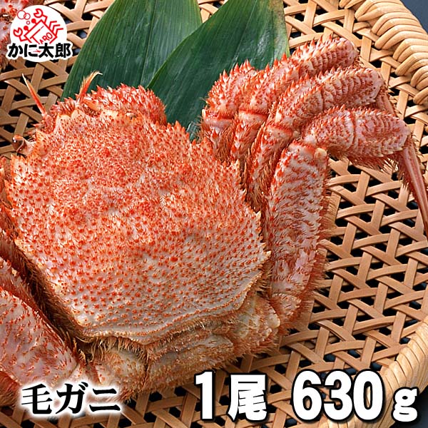 大型の毛蟹　630～680ｇ 1尾入り　ボイル冷凍 北海道産の毛ガニです。毛がにの醍醐味でもあるカニ味噌とかに身と絡めてお召し上がりください。かに通販 蟹みそ 北海道グルメ食品 魚介類・シーフード カニ 毛ガニ　　(ギフト食品) 父の日