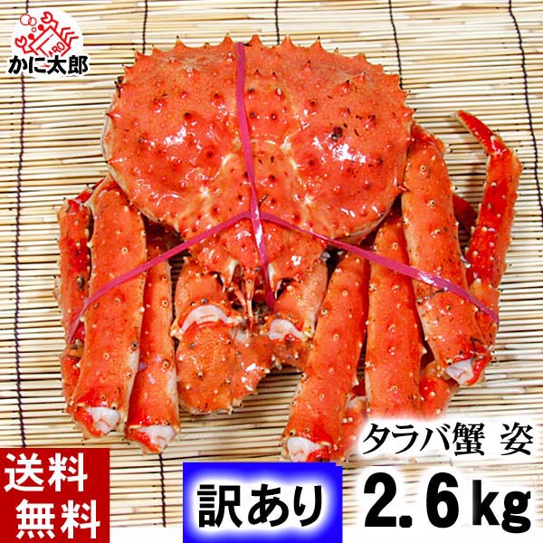 最新の激安 楽天市場 送料無料 訳あり タラバガニ たらばがに 姿 2 6kg前後 中型サイズ ボイル冷凍 足御折れありのわけあり品 たらば蟹 食べきりサイズのカニ姿です かに飯や 焼きガニも美味しい カニ通販 北海道グルメ食品 魚介類 タラバガニ ボイル 北海道の