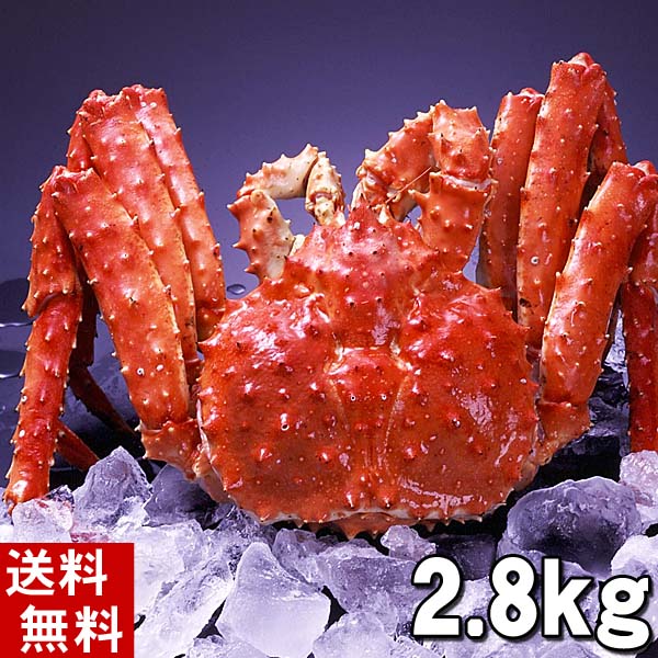 超人気 冷凍 【訳あり】 タラバガニ姿 １尾 2.7キロ - 魚介類(加工食品) - www.sogen.or.jp