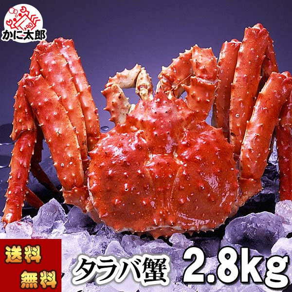 送料無料 タラバガニ　たらばがに 姿　2.8kg前後 中型　1尾 ボイル冷凍(北海道・ロシア原料)　たらば蟹 タラバ蟹 贈答用 カニ かに 姿 爪 かに足 カニ足 北海道 お取り寄せ 通販 グルメ ボイル 海鮮 ギフト｜北海道の海鮮お取り寄せ かに太郎