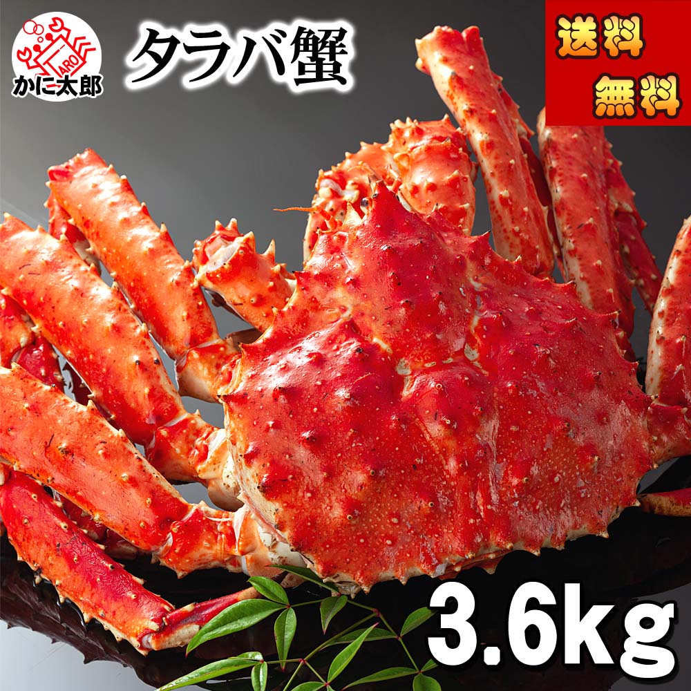 (送料無料) 特大タラバガニ　たらばがに 姿　3.6kg前後　特大　ボイル冷凍(北海道・ロシア原料)　巨大たらば蟹 贈答用 カニ姿 かに飯 焼きガニ 身の入りいい かに足 カニ 通販 かに 北海道 グルメ 食品 魚介類・ カニ タラバガニ 冷凍 ギフト