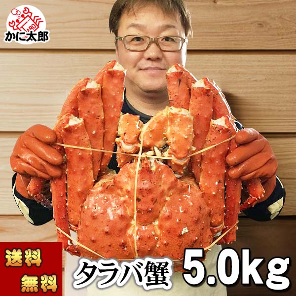 送料無料 タラバガニ たらばがに 姿 巨大 5.0kg前後 1尾 ボイル冷凍(北海道・ロシア原料) たらば蟹 タラバ蟹 贈答用 カニ かに 姿 爪 かに足 カニ足 北海道 お取り寄せ 通販 グルメ ボイル 海鮮 ギフト 5kg お中元|北海道の海鮮お取り寄せ かに太郎