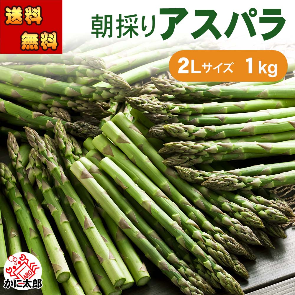(送料無料)２Lサイズ　グリーンアスパラガス　1kg前後　美味しい旬の 北海道産（美瑛産　名寄産）あすぱら 産地直送 アスパラが食べられるのは春だけ アスパラベーコンなど料理多彩 グリーンアスパラガス ギフト用 野菜