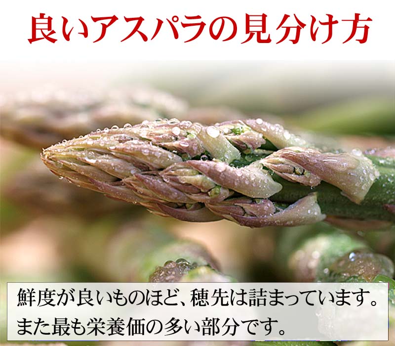 ()グリーンアスパラ M~Lサイズ混合 1kg前後 美味しい旬の北海道産あすぱらを産地直送。早朝採れたてアスパラガスが食べられるのは春だけ。アスパラベーコンなど料理多彩。北海道グルメ食品 野菜・きのこ アスパラガス グリーンアスパラガス(ギフト用) ()グリーンアスパラ M~Lサイズ混合 1kg前後 美味しい旬の北海道産あすぱらを産地直送。早朝採れたてアスパラガスが食べられるのは春だけ。アスパラベーコンなど料理多彩。北海道グルメ食品 野菜・きのこ アスパラガス グリーンアスパラガス(ギフト用)