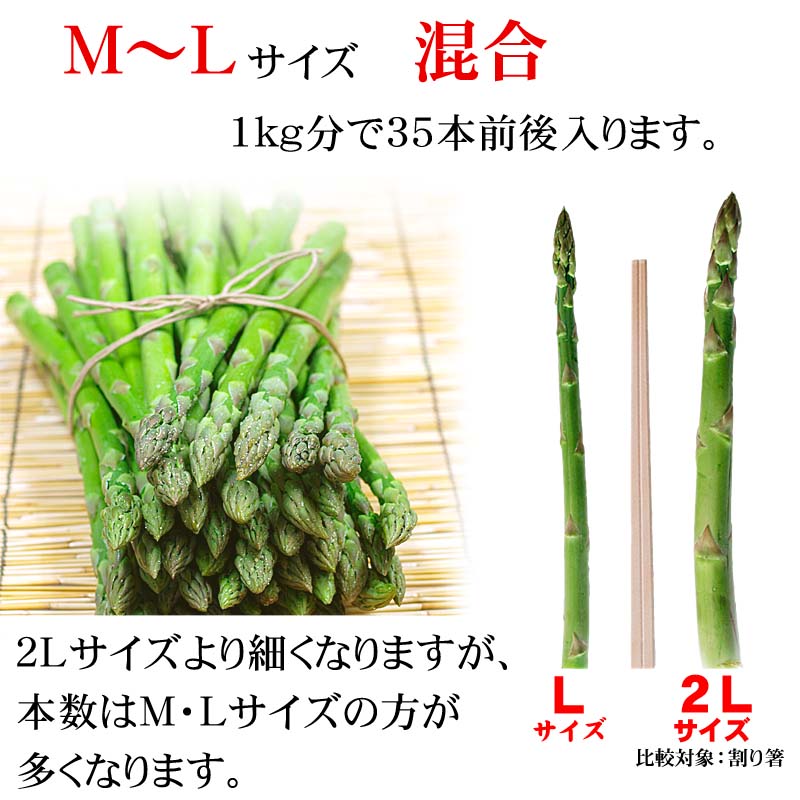 ()グリーンアスパラ M~Lサイズ混合 1kg前後 美味しい旬の北海道産あすぱらを産地直送。早朝採れたてアスパラガスが食べられるのは春だけ。アスパラベーコンなど料理多彩。北海道グルメ食品 野菜・きのこ アスパラガス グリーンアスパラガス(ギフト用) ()グリーンアスパラ M~Lサイズ混合 1kg前後 美味しい旬の北海道産あすぱらを産地直送。早朝採れたてアスパラガスが食べられるのは春だけ。アスパラベーコンなど料理多彩。北海道グルメ食品 野菜・きのこ アスパラガス グリーンアスパラガス(ギフト用)