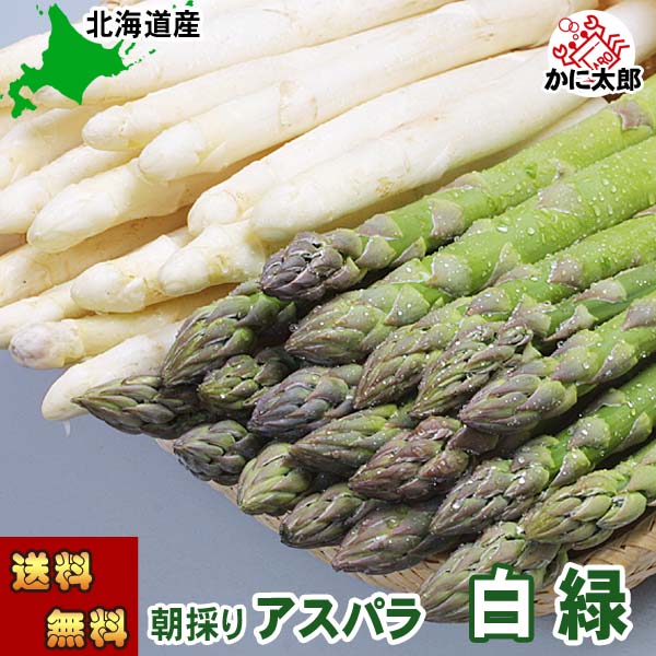 予約商品(送料無料) 朝採り アスパラガス 2種類の味が楽しめるセット　合計2kg(グリーンアスパラ1kg、ホワイトアスパラ1kg)　美味しい旬の北海道産（美瑛産　名寄産） あすぱら 産地直送 アスパラベーコンなど料理多彩 野菜