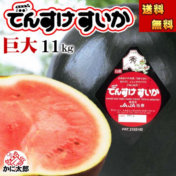 (送料無料) 巨大 でんすけすいか 秀品 6L 11kg以上　黒い皮の中には赤の果肉、伝助 田助西瓜 ギフトに喜ばれる北海道 デンスケスイカ すいか 旬のフルーツ グルメ食品 フルーツ・果物 スイカ 黒皮スイカ でんすけスイカ お中元 御中元 ギフト