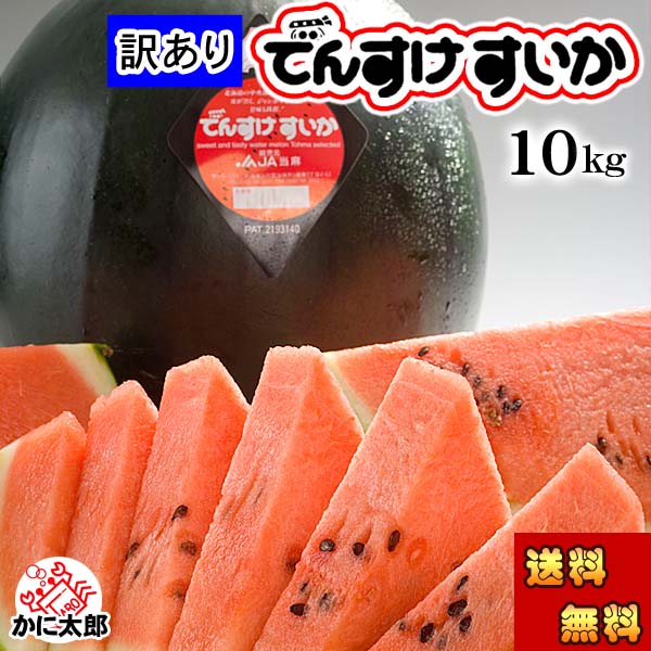(送料無料) 訳あり でんすけすいか 良～優品 5Lサイズ 10kg　北海道 デンスケスイカ わけありで登場 黒い皮の中には赤の果肉、伝助・田助西瓜 でんすけスイカ すいか 旬のフルーツ通販 グルメ食品 フルーツ・果物 スイカ 黒皮スイカ でんすけスイカ