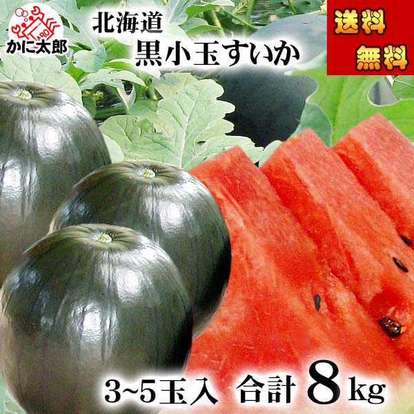 (送料無料) 北海道産　小玉黒すいか　3～5玉入りで 合計8kg前後　糖度12度の甘いスイカです。したたり落ちる果汁、冷蔵庫にも入れやすい小さい黒西瓜。旬のフルーツグルメ食品 フルーツ・果物 スイカ 小玉スイカ(ギフト お中元)