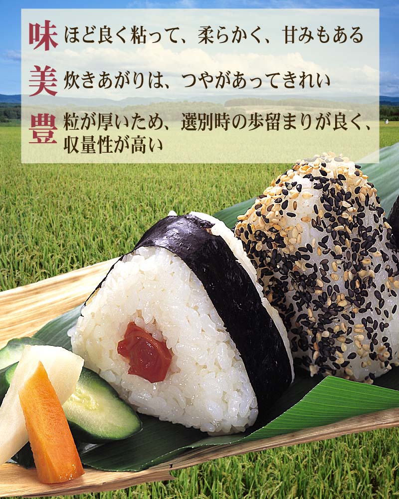【楽天市場】(送料無料)令和4年度 新米 北海道産米 ゆめぴりか 10kg 白米、精米 炊きあがりが柔らかく、北海道産イチオシのお米です。日本