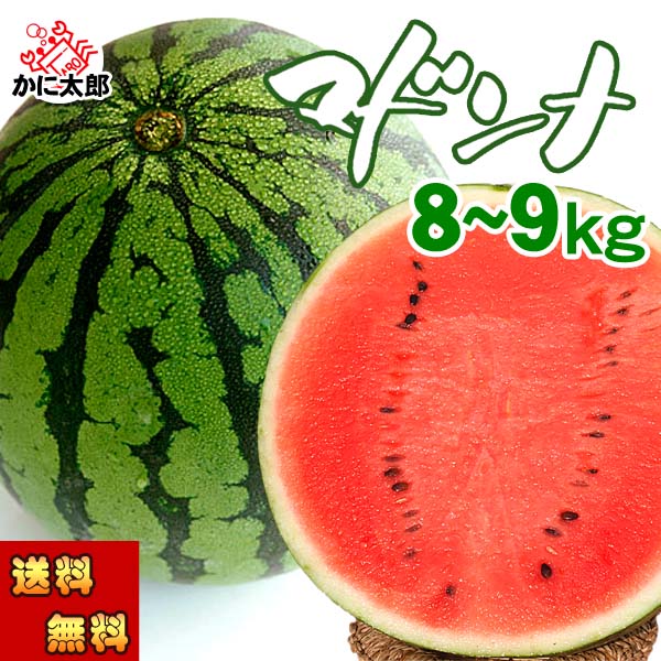 (送料無料) マドンナスイカ 秀品 3L～4Lサイズ 8～9kg　富良野・浦臼産 でんすけすいかよりも糖度が高い糖度12度の西瓜 北海道 すいか 旬のフルーツグルメ食品 フルーツ・果物 スイカ 大玉スイカ(くだものギフト お中元)