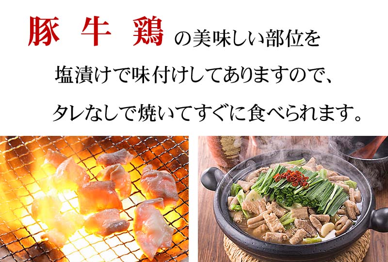 貨物輸送無料 塩類ホルモン專門店屋 枝炭や 多彩焼肉書割 福袋 豚塩 トントロを全国区にした銘店のホルモンです ビーフ 豚 食鶏 カモの焼肉 丸焼き q北海道グールメ食優雅さ 肉 肉工業品 Digitalland Com Br