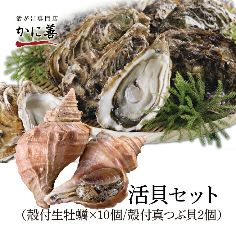 【送料無料】【北海道厚岸産】【活】牡蠣Lサイズ(約20個)