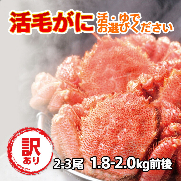 ギフトカニ 活毛ガニ 訳あり 2～3尾 (1.8～2.0kg前後) 北海道産 冷蔵 ボイル対応 毛蟹 毛がに 活かに 活蟹 刺身も 未冷凍 母の日 父の日 沖縄のみ送料550円増