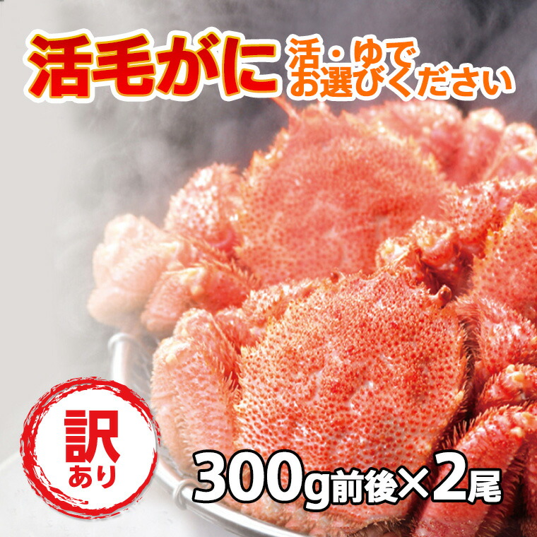 送料無料 訳あり 活毛ガニ 2尾(300g前後×2) 北海道 北海道産 冷蔵 毛蟹 毛がに 活かに 活蟹 刺身も 未冷凍 母の日 父の日