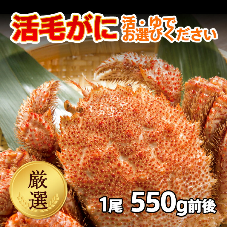 送料無料 北海道産 厳選 活毛ガニ 1尾 (550g前後) 冷蔵 ボイル対応 ギフト 毛ガニ 毛蟹 毛がに 活かに 活蟹 刺身 未冷凍 内祝い お返し 母の日 父の日 沖縄のみ送料550円増 11,193円