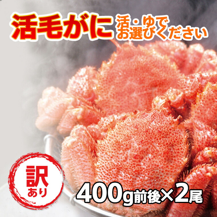 送料無料 数量限定 訳あり 活毛ガニ 2尾(400g前後×2) 北海道産 冷蔵 毛蟹 毛がに 活かに 活蟹 刺身も 未冷凍 母の日 父の日 沖縄のみ送料550円増
