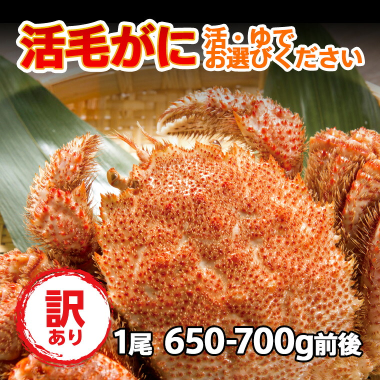 送料無料 お買い得 限定 カニ 訳あり 毛ガニ 活毛ガニ 1尾 (650g-700g前後) 北海道産 冷蔵 ボイル対応 毛蟹 毛がに 活かに 活蟹 刺身 未冷凍 母の日 父の日 沖縄のみ送料550円増 7,400円