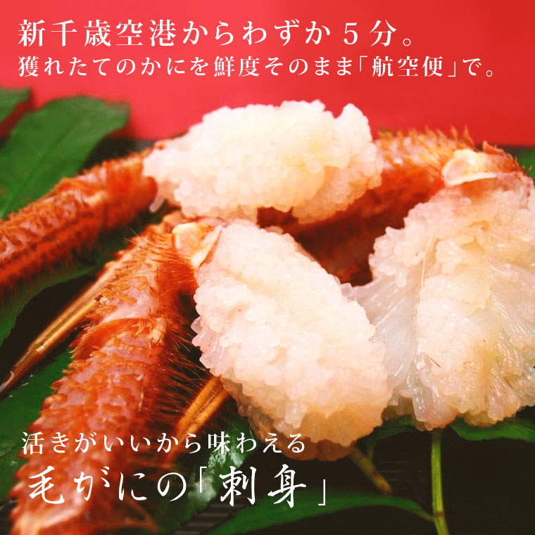 毛ガニ活毛ガニ3〜4尾セット(1.2kg前後)北海道近海産冷蔵かに毛蟹活かに活蟹かにみそ刺身用にも最適ギフト贈答父の日母の日