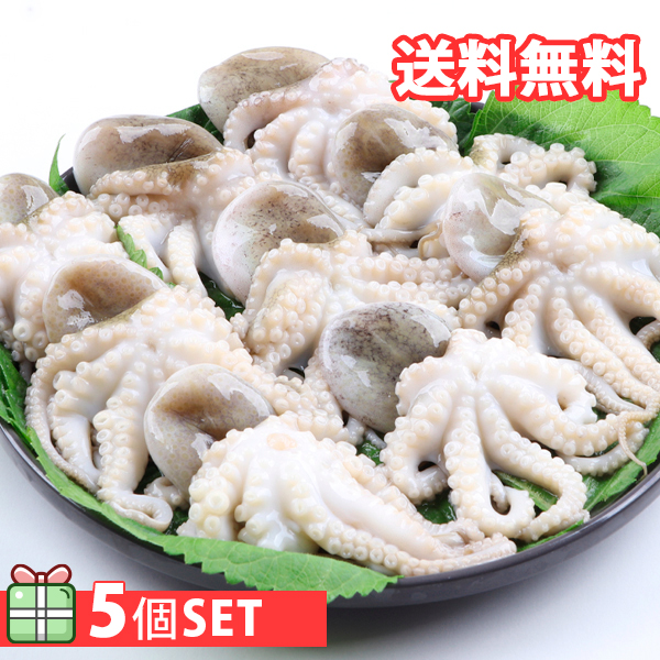 [凍]冷凍イイダコ1kg  5個セット(1600円×5個) 下処理済み タコ たこ 蛸【送料無料】