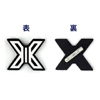 楽天市場 おまけ付き X1 キラキラ ロゴピンバッジ Produce X101 エクスワン X1 おまけ トレカ 15 韓love