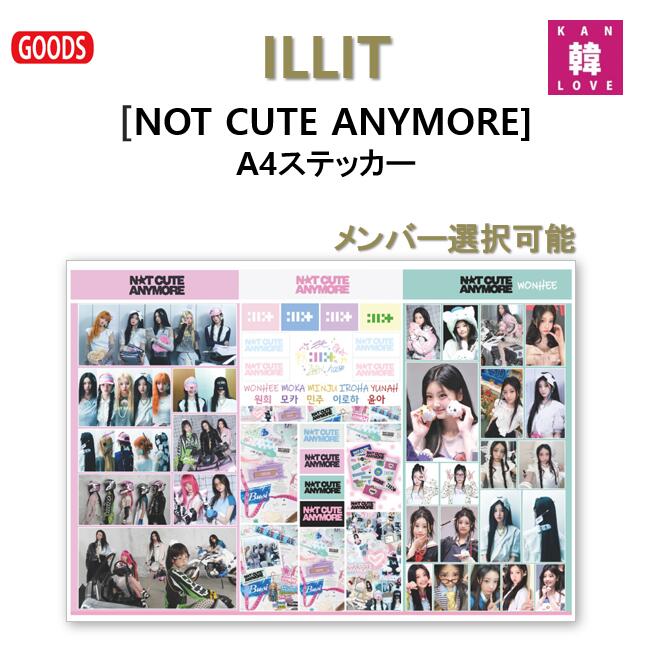 楽天市場】ILLIT [ CAN BADGE SET ] NOT CUTE ANYMORE MD / 缶バッジ